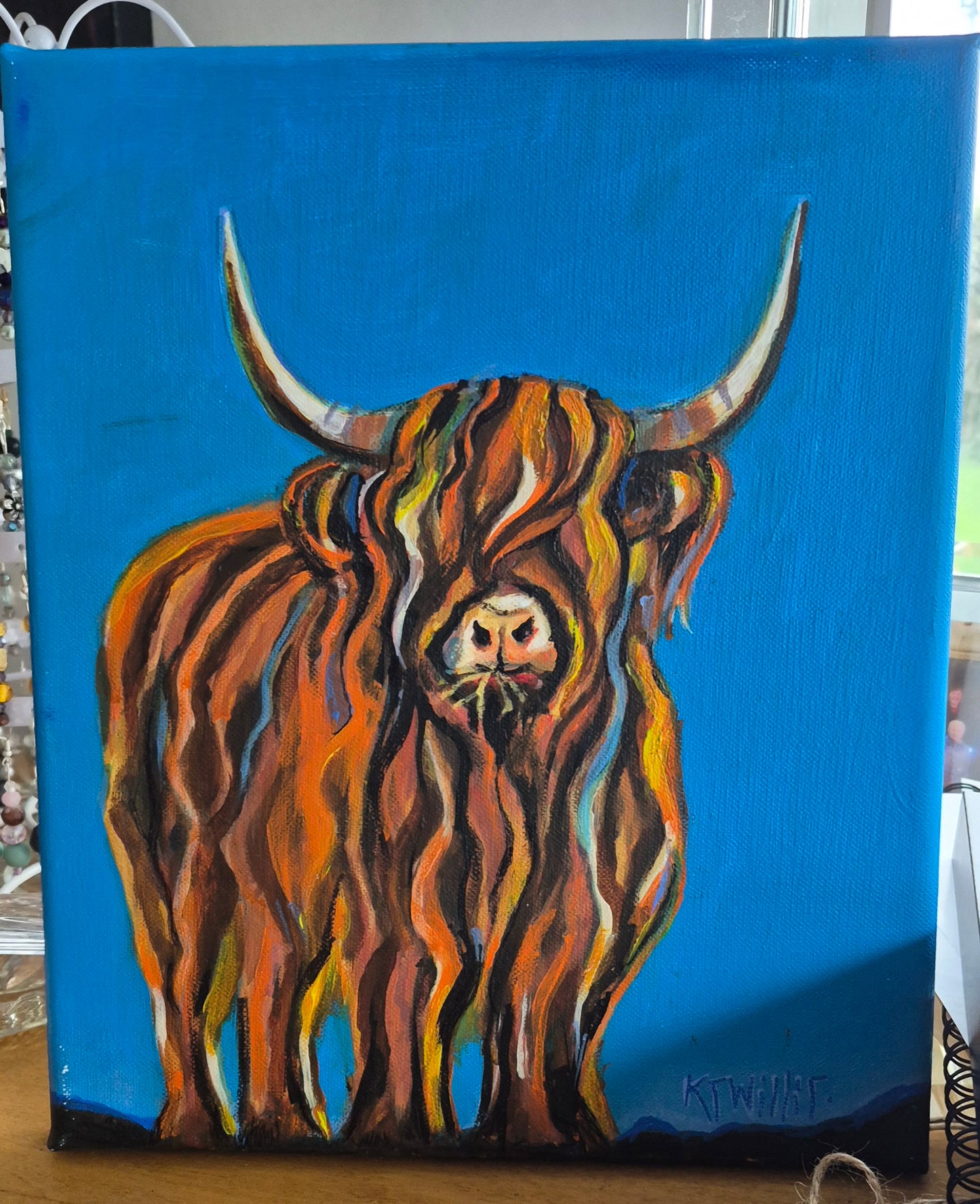 Highland Cow